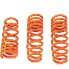EDDYSTAR Short Springs 1