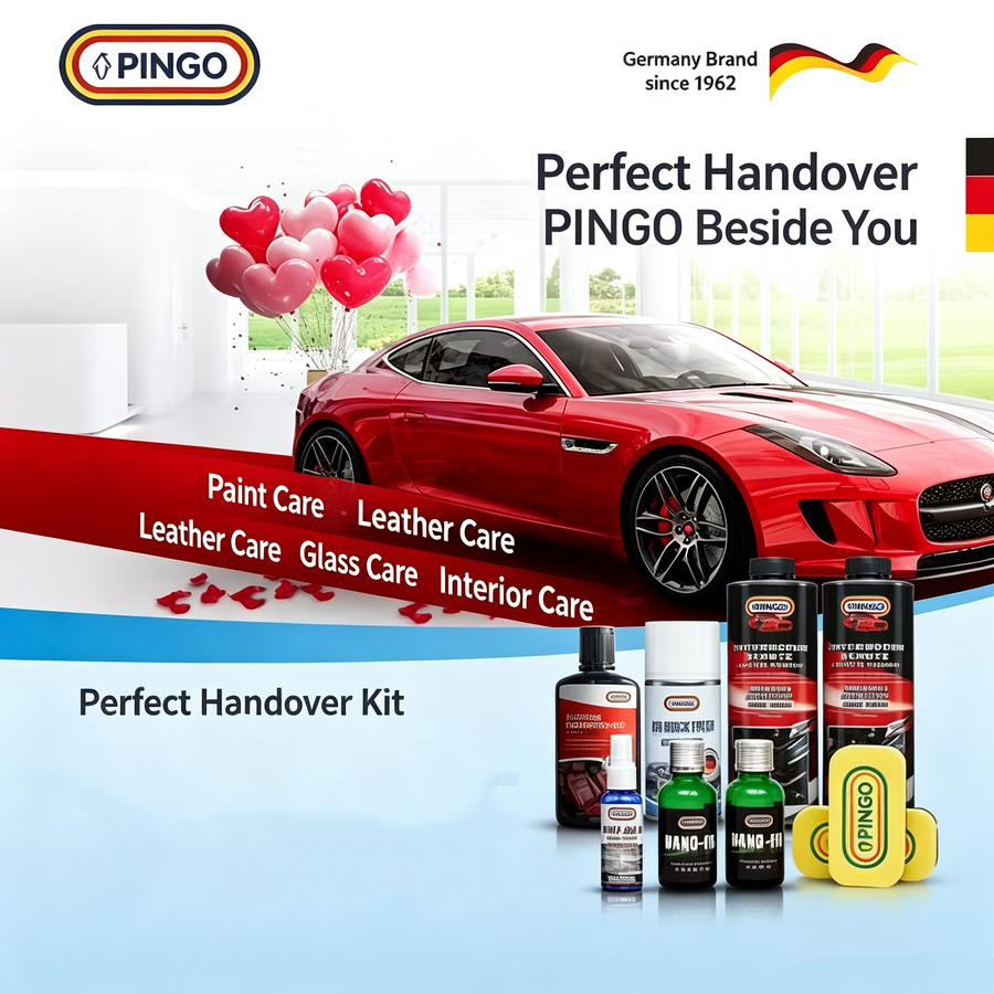 PINGO Car Paint Maintenance 1